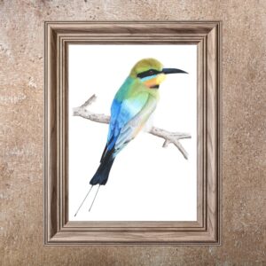 Rainbow Bee-Eater (Print)