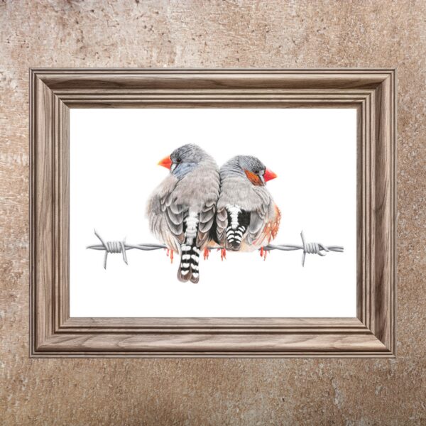 Zebra Finches (Print)