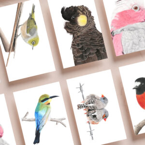 Greeting Cards (set of 6)