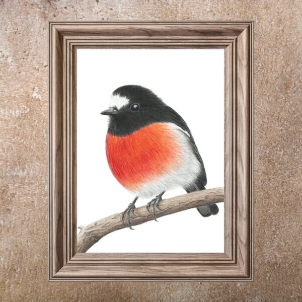 Scarlet Robin (Print)